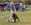 American Dancer's Magic Moment-Crowd Surfer's Portuguese Water dogs